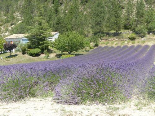 Hostal Domaine Du Murier