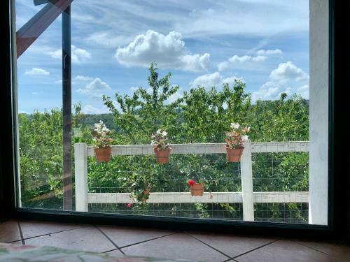 Bed & Breakfast La Dacia In Langa