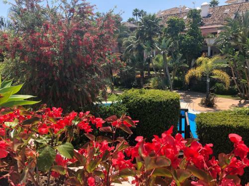 Luxury Apartment At Lomas Del Rey, Puente Romano