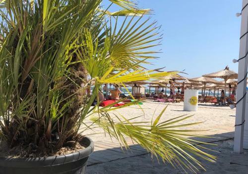 Beach Apartment