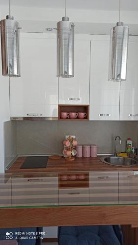 Apartamento Avala21 Titova Vila Zlatibor