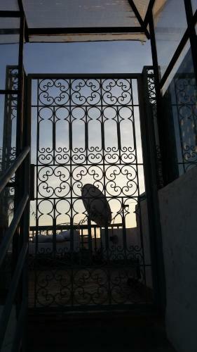 Apartamento Riad Manaoui