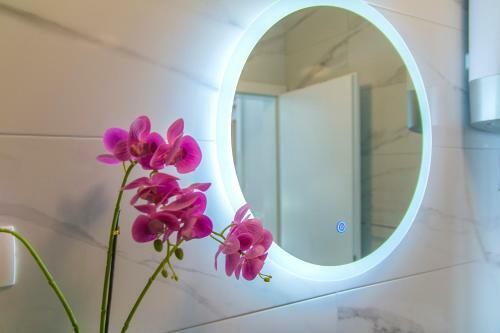 Apartman Noemi