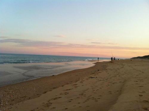 Paradise On The Boulevard