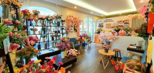 Hostal Ph? Hoa Villa Boutique & Homestay