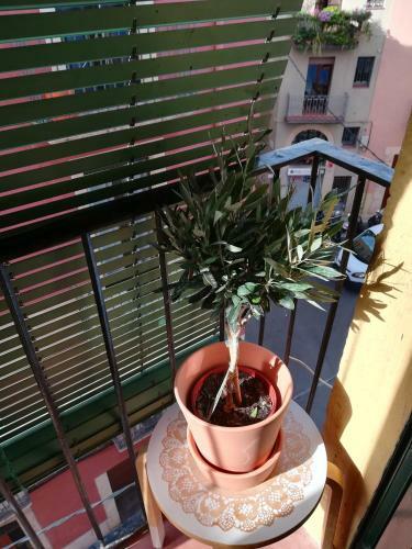 Apartamento Olivia III