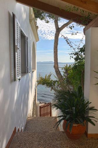 Apartamento Alcudia-vida Sana-primera Linea de Mar