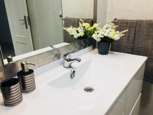 Apartamento Un Lujo En El Coraz�n de Alicante