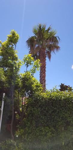Apartamentos Villa Rita Oase