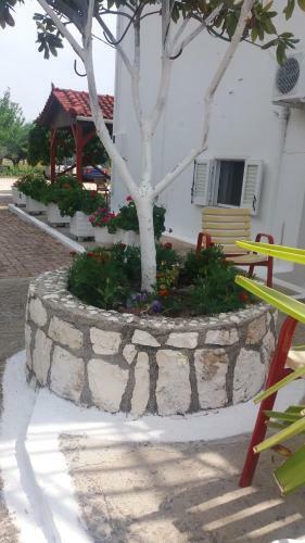 Apartamento Pantelatos Studios
