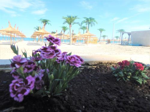 Apartamento Sunrise Beach Residence