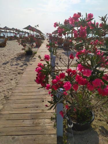 Apartamento Sunrise Beach Residence