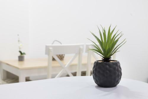 Moonkey - Apartamento Amaralba A