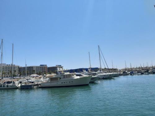 Apartamento Alicante & Urban Center