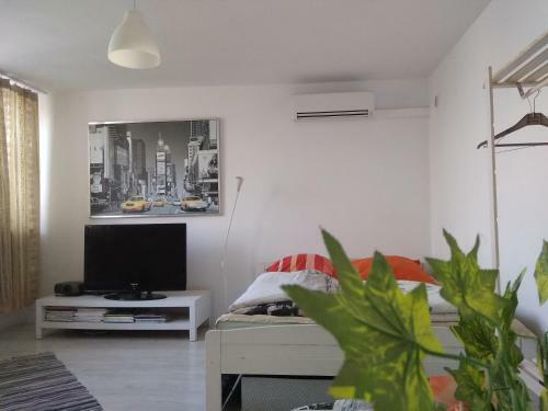 Apartament Jasny Noclegi P?ock