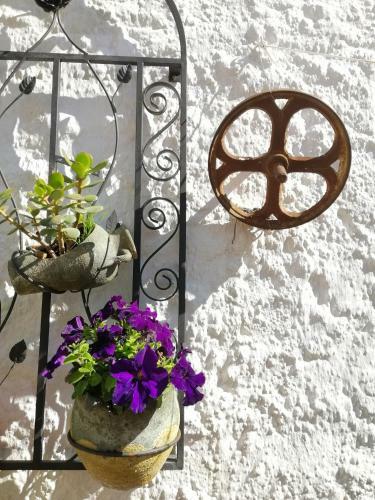Bed & Breakfast Casa Proyecto Pepe Bravo - Arte de Manos Y Coraz�n