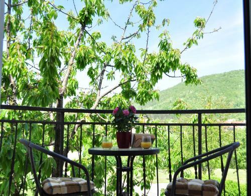 Hostal Guest House Surina