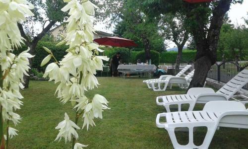 Hostal Guest House Surina