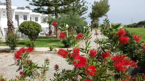 Blue Nest Hotel