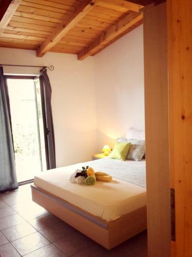 Gracia Apartments