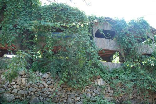 Hostal Olympos Caml?k Pension