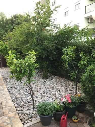 Apartamentos Villa Ivo