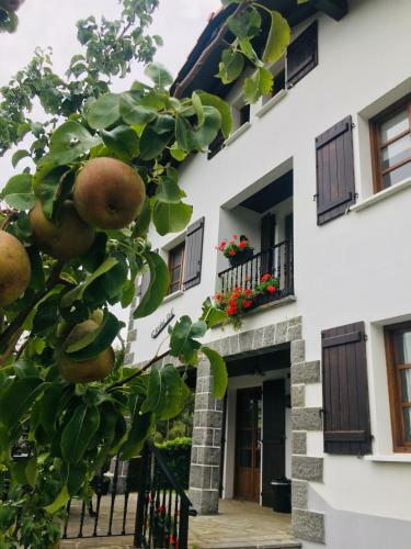 Agroturismo Ekialde Rural