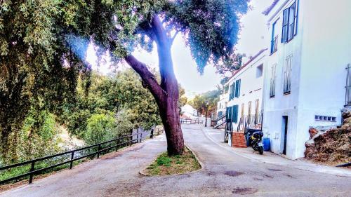 Casa El Sue�o De Aracena