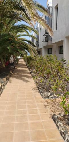Apartamento Amber
