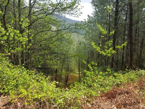 Apartamento Piso Don Mateo En Sierra de Gredos