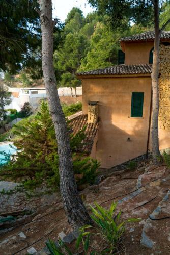 Apartment Guesthouse
