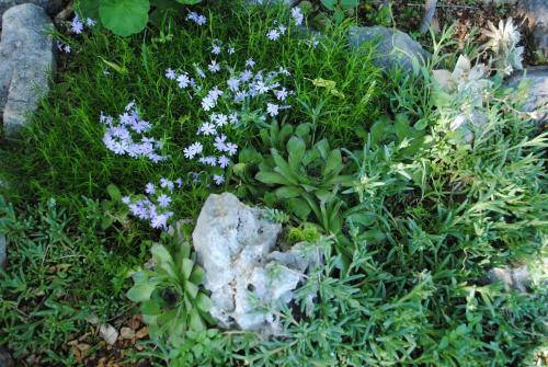 Apartments Natura Jurjevi? Makarska