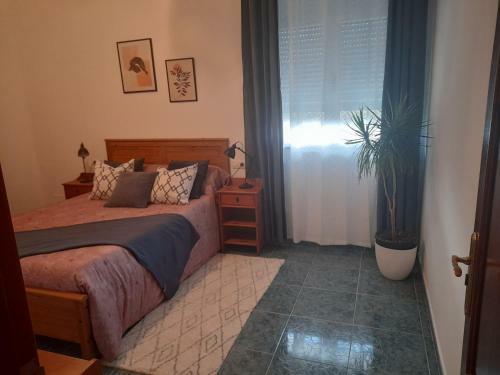 Apartamento Piso Ceferino
