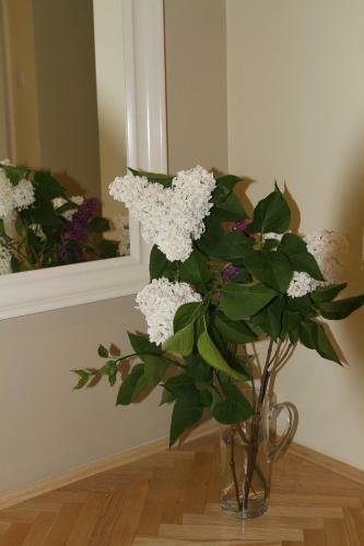 Bed & Breakfast Villa Aria