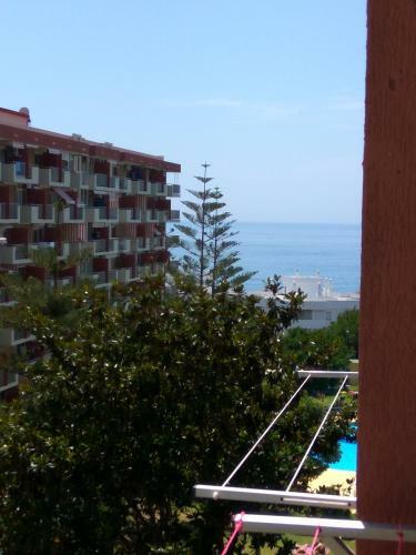 Apartamento Estudio Minerva 241