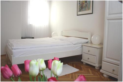 Hostal Pansion Kamenar