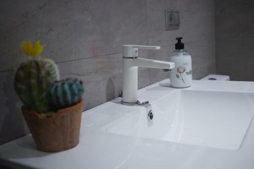 Apartamento En El Centro A Un Minuto de La Playa