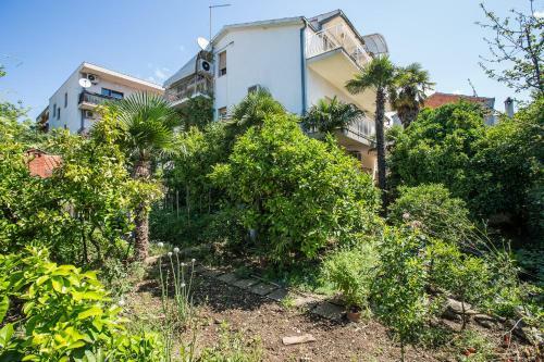 Apartments Palma Loncar