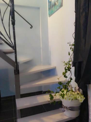 Apartments Marhela Jakov