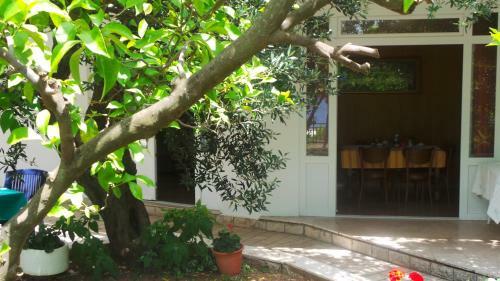 Bed & Breakfast Pension Vice