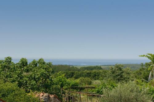 Apartment Borgo 8