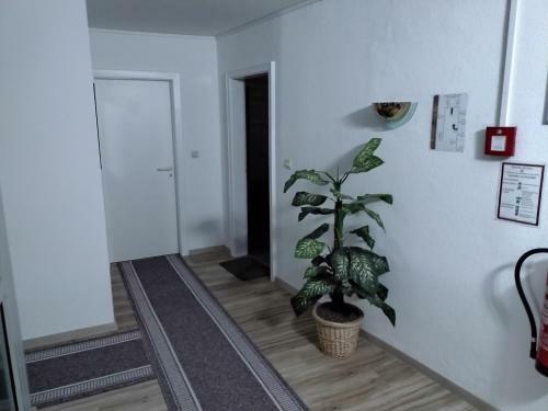 Altstadt-hotel