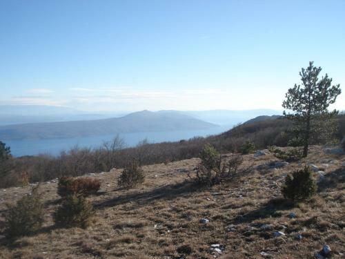 Hostal Guesthouse Villa Galovic