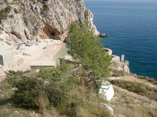 Hostal Guesthouse Villa Galovic