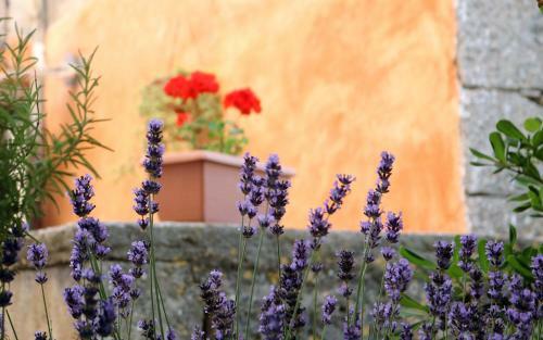 Hostal Holiday Home Bale - Valle