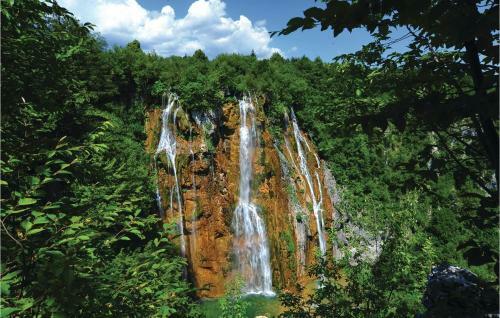 Holiday Home Plaski Janja Gora