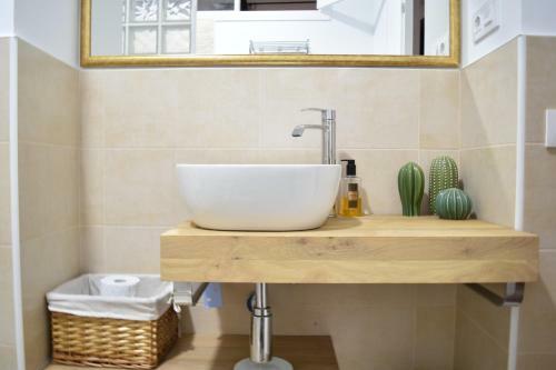 Apartamento La Discusi�n de Veedor 12