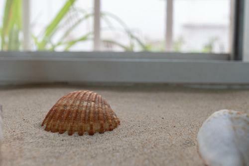 Apartamento Sirenas - Cadiz