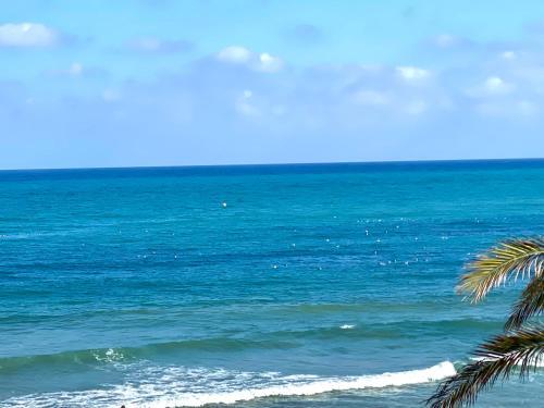 Apartamento Frente Al Mar En El Campello