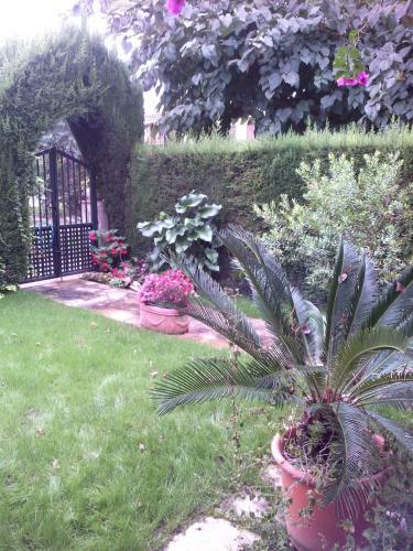 Chalet Low Coast En Cambrils-vilafortuny